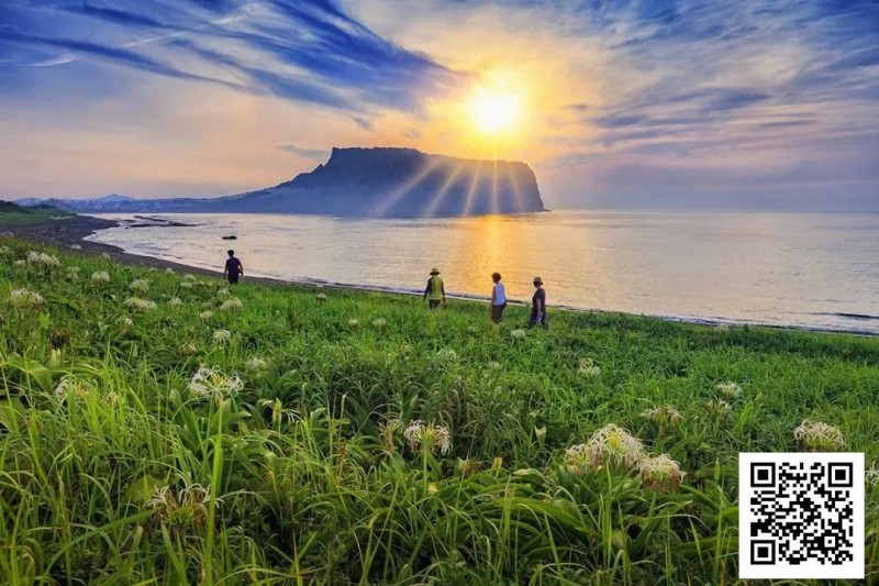 【APL扑克】别Till，来Jeju Chill——必去景点+路线打包+管家制定