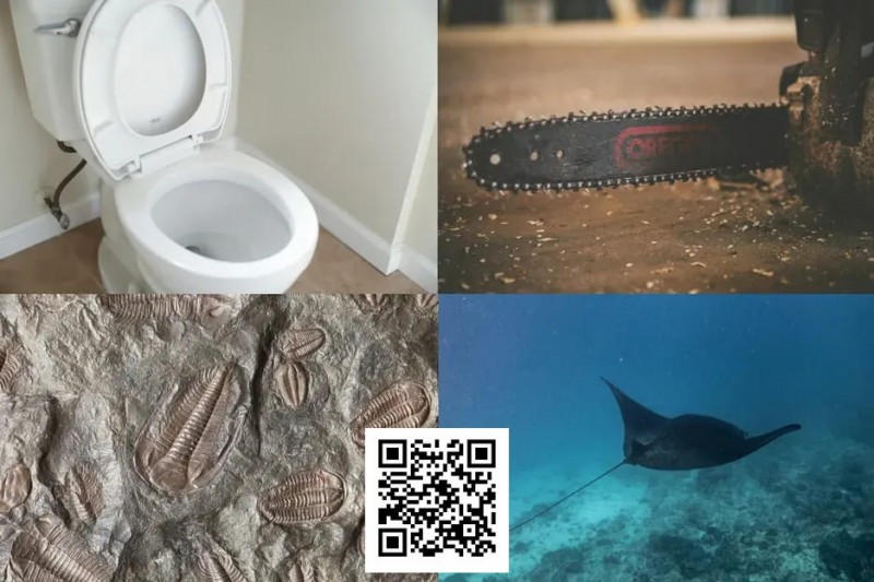 【APL扑克】扑克界谁的绰号最炸裂：电锯、魔鬼鱼、石化人、马桶？
