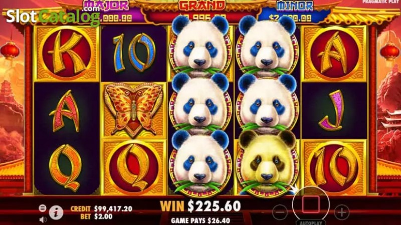 【APL扑克】熊猫财富2重磅上线大发娱乐平台