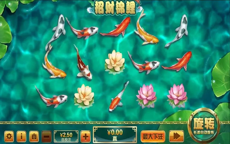 【APL扑克】大发娱乐全新力作 —— 招财锦鲤，带你畅游好运与财富