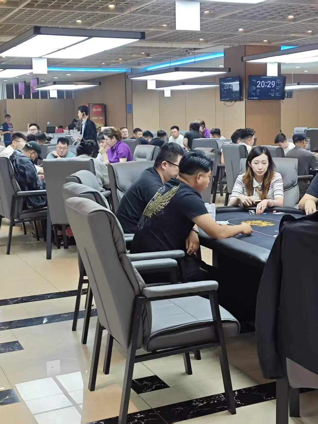 【APL扑克】DBPT城市智力竞技S1赛季 | 战火升级!213人征战主赛B组,王商舜登顶“新东北王”
