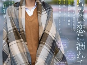 【APL扑克】美谷朱里(Mitani-Akari)作品HMN-196介绍及封面预览