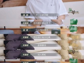 【APL扑克】《披荆斩棘3》关智斌有多可爱?找赵丽颖拉票,模仿容祖儿跳舞