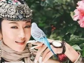 【APL扑克】杨丽萍回应未生子:我认为的幸福就是舞蹈