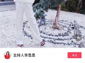 【APL扑克】李思思从央视离职,其新的挑战被疑是去直播带货