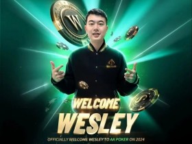 【APL扑克】纵横德扑江湖的勇士 年度风云人物Wesley 成某知名扑克品牌代言人