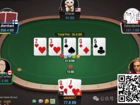 【APL扑克】牌局分析:敢于拿鱼的薄价值