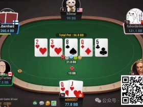 【APL扑克】牌局分析:敢于拿鱼的薄价值