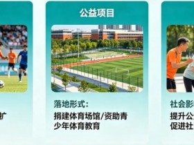 【APL扑克】解析开云体育的“体育+公益”模式:社会责任感