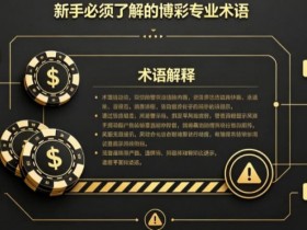 【APL扑克】什么是“洗码”?新手必须了解的博彩专业术语
